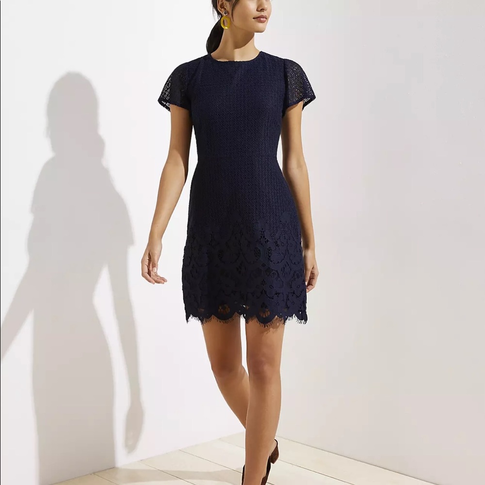 Loft Lace Sheath Dress
